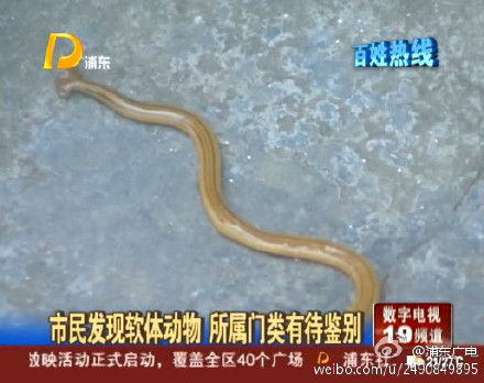 坟场情降和血咒情降，坟场情降与五鬼情降？