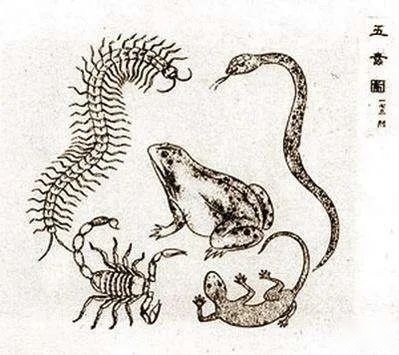 情降有谁做过吗，情降有什么副功用？