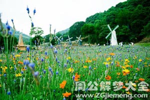 情降必定会有用果吗？情降成就若何样？泰国情降和关挽回术详解！