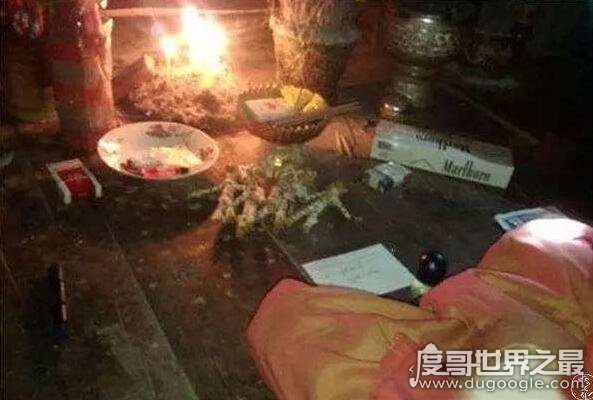 沉下心来盖屋子夏普《美丽的屋子》吸引人的不光是吴彦祖的颜