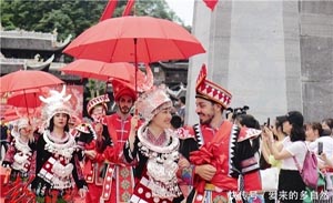民间叫它“阴阳草”终年有人去挖卖大钱却很少有人种植