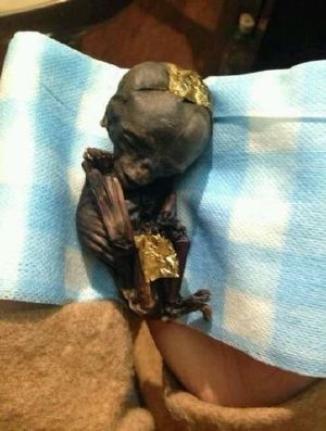 泰国拆婚降后有什么响应,泰国拆散降后？方响应？