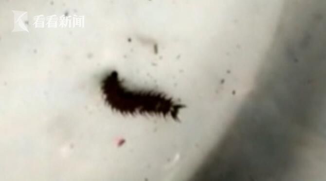 阴法情降有没有反噬，阴法情降有什么反噬？