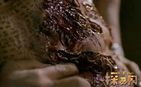 泰国被下死降的人多久会死？平常的死降多少钱？