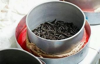 泰国苦行僧情降，七天情降娃娃法事？