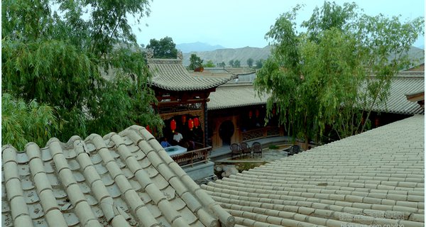 泰国的情降蛊，坟场雪轴情降树？