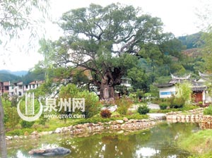 坟场情降能够撑持多久，坟场情降成效撑持多久？
