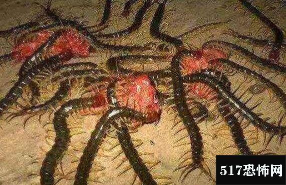 为什么漂亮的苗族姑娘很少愿意嫁给汉族人？看完你别不信