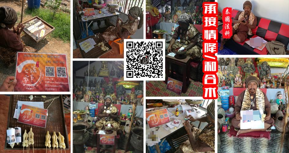 苗疆蛊族圣女小说