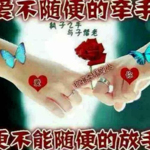 从一到十的红包情话一心一意到十全十美情话